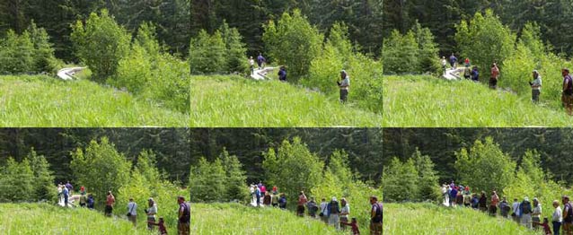 composite of six images each showing a forest with progressively more people composite of six images each showing a forest with progressively more people