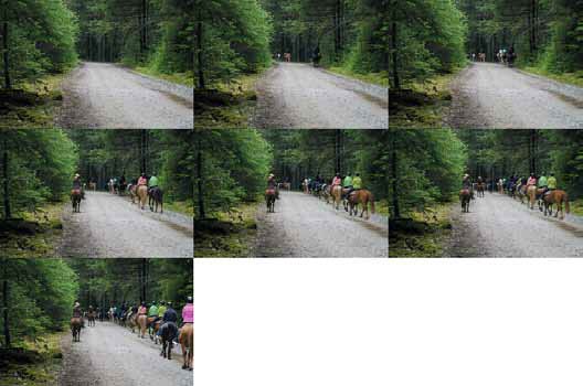 composite of six images each showing a forest with progressively more people