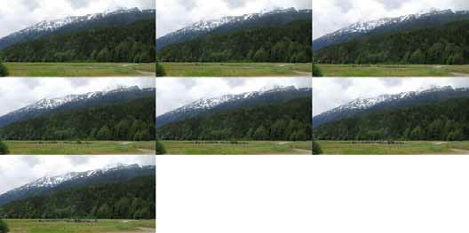 composite of six images each showing a forest with progressively more people