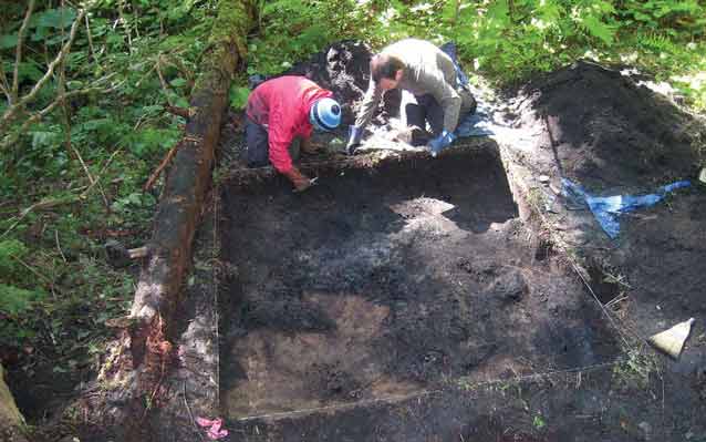 two people digging a hole in a forest