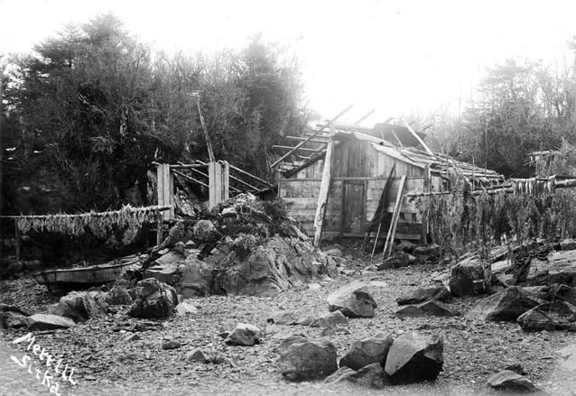 framed, one-story structure with numerous fish hanging to dry in a forest clearing