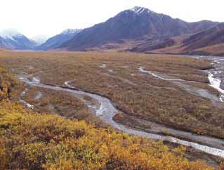 braided river braided river