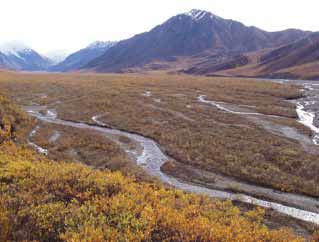 braided river