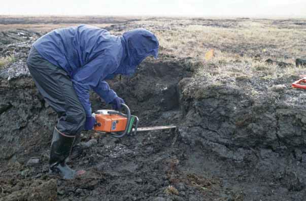 person sticking a chain saw into the ground