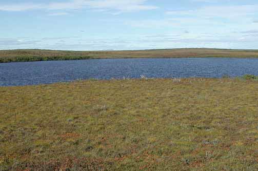 tree-less landscape with lake or other body of water visible