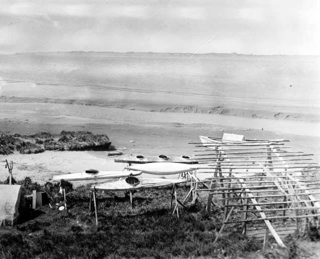 numerous kayaks on a beach