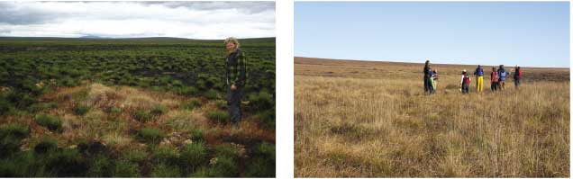 two images of the same tree-less landscape, one green and the other brown two images of the same tree-less landscape, one green and the other brown