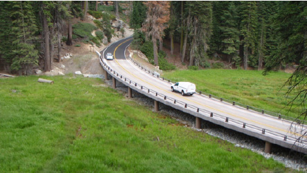 photo showing Halstead Meadow Restoration along General's Highway in Sequoia Kings National Park