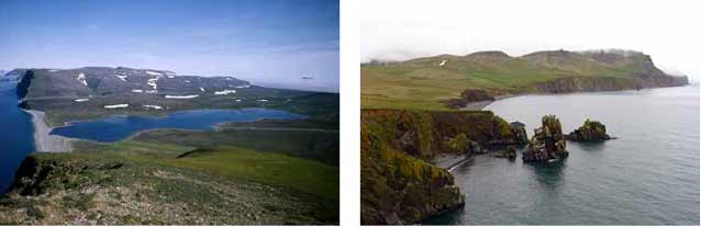 aerial images of a green island with few trees