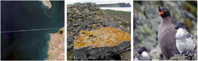 three images, one aerial of an island, another closeup of rocks and third of two large birds