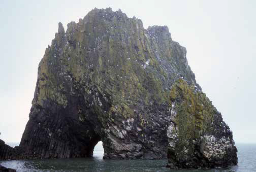 steep rock jutting out of the ocean, covered with birds