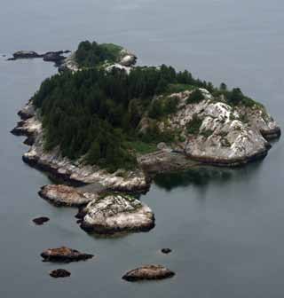 Steller sea lion haulout site at South Marble Island. 