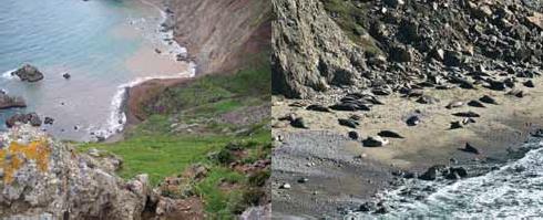 before and after photos of a beach at Point Reyes