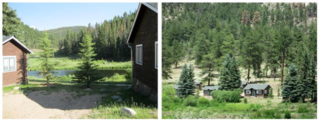 Two views show the row of cabins among the pine trees; one view from beside, one from a distance.