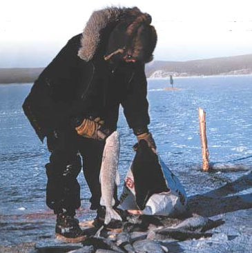 Person fishing is standing near water and putting a fish into a bag