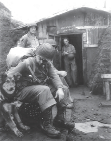 Soldier pets large dog as other soldiers look on.