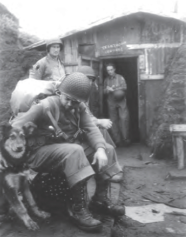 Soldier pets large dog as other soldiers look on. Soldier pets large dog as other soldiers look on.