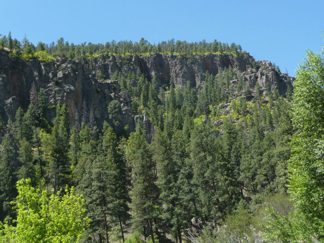 A vibrant green forest covers a ridge and canyon landscape