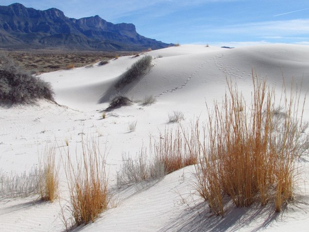 Mountains and desert side by side at Guadalupe Mountains National Park Mountains and desert side by side at Guadalupe Mountains National Park
