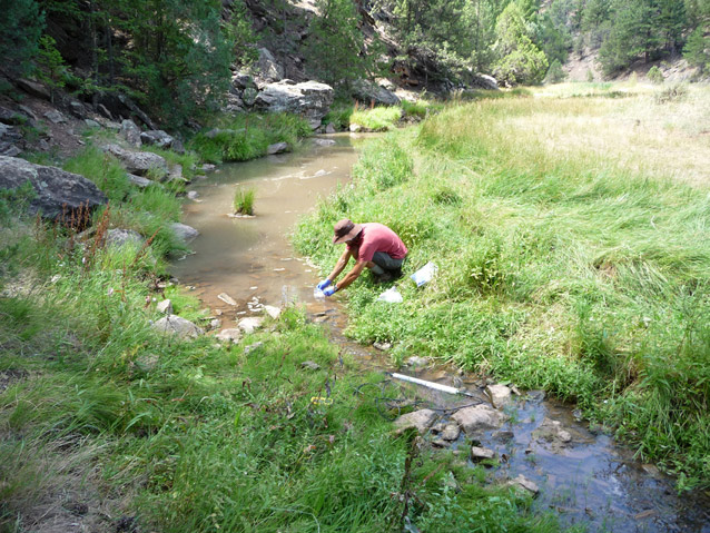 A gloved staff person crouches by a stream, collecting a water sample