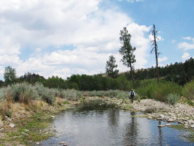 Person walking along the bank of a stream Person walking along the bank of a stream