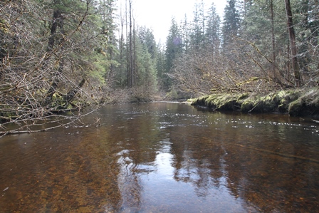 river river