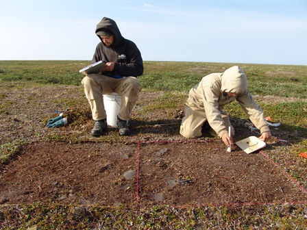 two people collecting field data