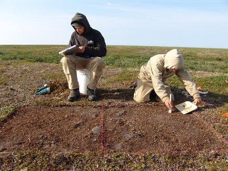 two people collecting field data two people collecting field data