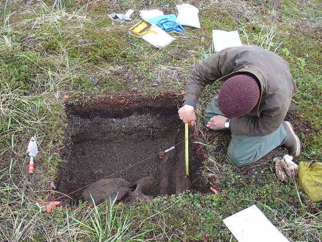 measuring field plots