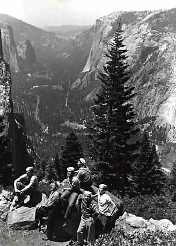 Sailors look out at Yosemite Valley in front of evergreen tree