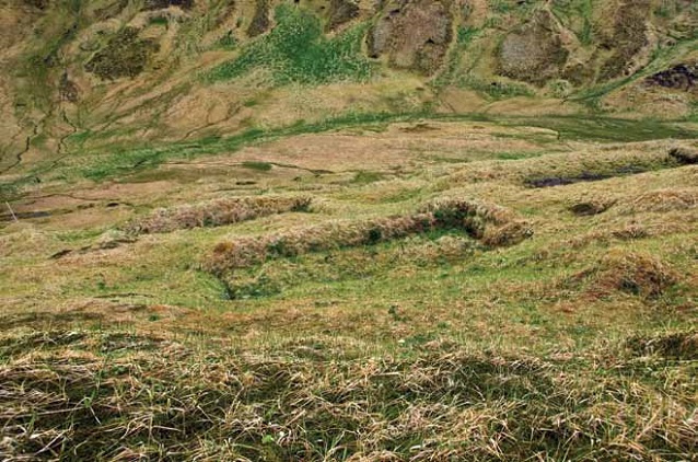 Rectangular indentations in a grassy valley