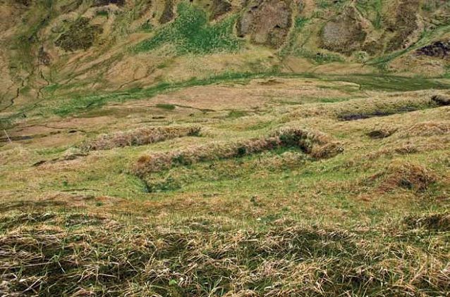 Rectangular indentations in a grassy valley Rectangular indentations in a grassy valley