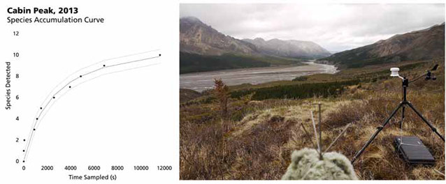a line chart with an upward trajectory and a photo of a cloudy river valley
