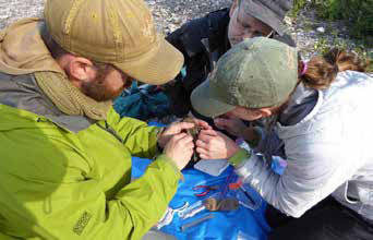 three people examining a tiny bird