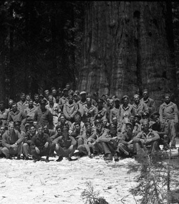 B&W; soldiers in front of large Sequoia B&W; soldiers in front of large Sequoia