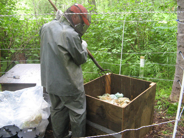 a man wearing a respirator uses a pitchfork to move bags of feces