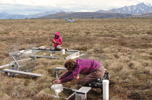 two researchers lean over boxes capturing gases in the brown tundra