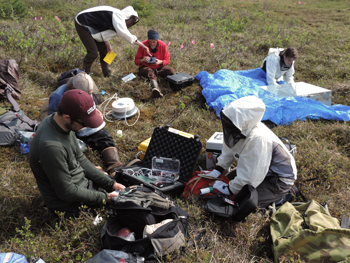 students sit in the tundra with equipment and backpack all around them