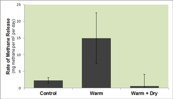 graph that shows tundra that was artificially warmed released 10 times more methane than other plots