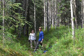 two researchers stand in a shallow trench amidst the trees two researchers stand in a shallow trench amidst the trees