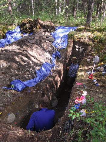 Two researchers stand in a deep rectangular trench in the woods Two researchers stand in a deep rectangular trench in the woods