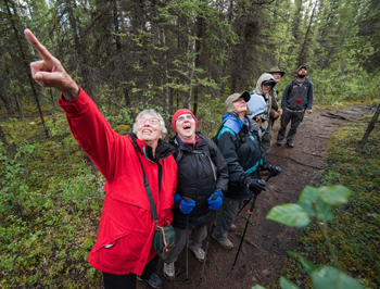 visitors excitedly point at something during a hike through the woods