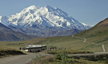visitors stand around a bus while looking at Denali