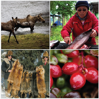 a variety of subistence activities including hunting, fishing, trapping, and picking berries