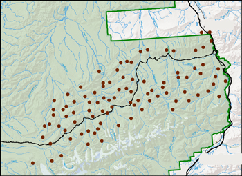 a map of Denali that shows nesting sites of golden eagles on either side of the park road