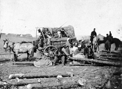 A group of travelers sits in and around a horse-drawn covered wagon, amidst fallen logs.