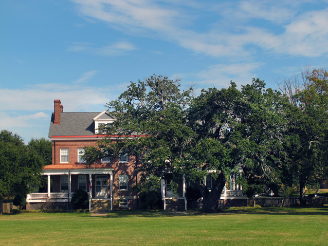 A broad, leafy tree obscures part of a two-story red brick building with a porch.
