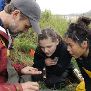 students kneel in the grass and look at archeological find