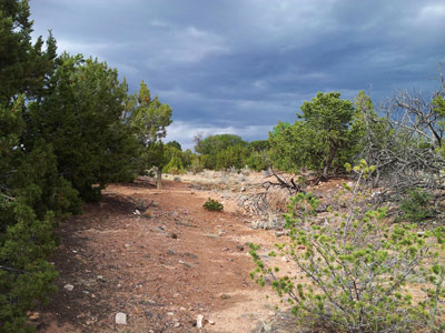 A cleared area in the red soil marks a former trail, surrounded by low green brush.