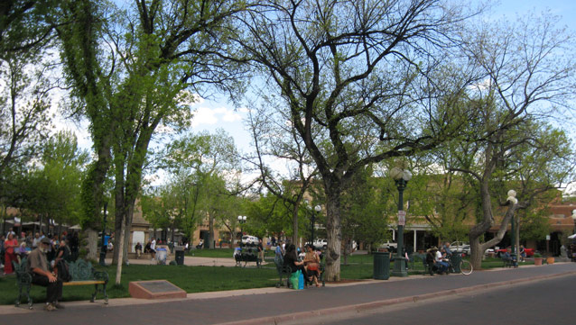 People gather on benches under tall trees in a grassy park plaza, beside a road.